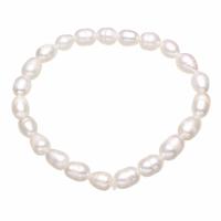 Freshwater Cultured Pearl Bracelet, Freshwater Pearl, with Elastic Thread, Rice, for woman, white, 7-8mm, Sold Per Approx 7.5 Inch Strand