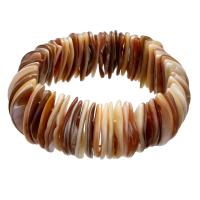 Unisex Bracelet Freshwater Shell with Elastic Thread Dome mixed colors 31mm Sold Per Approx 6.5 Inch Strand