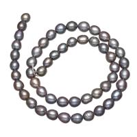 Perlas Arroz Freshwater, Perlas cultivadas de agua dulce, Negro, 6-7mm, agujero:aproximado 0.8mm, Vendido para aproximado 15 Inch Sarta