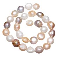 Barocco coltivate in acqua dolce Perla, perla d'acquadolce coltivata naturalmente, colori misti, 13-14mm, Foro:Appross. 0.8mm, Venduto per Appross. 15.7 pollice filo