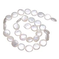 Keishi Kulturan Slatkovodni Pearl perle, Dugme, prirodan, bijel, 11-12mm, Rupa:Približno 0.8mm, Prodano Per Približno 14.5 inčni Strand