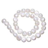 Naturales agua dulce perlas sueltas, Perlas cultivadas de agua dulce, Blanco, 12-13mm, agujero:aproximado 0.8mm, Vendido para aproximado 15 Inch Sarta