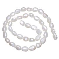 Barock odlad sötvattenspärla pärlor, Freshwater Pearl, naturlig, vit, 7-8mm, Hål:Ca 0.8mm, Såld Per Ca 15 inch Strand