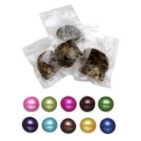 Perles d'huîtres perles de mer Akoya cultivées, perles Akoya cultivées, Rond, couleurs mélangées, 7-8mm, 10PC/lot, Vendu par lot