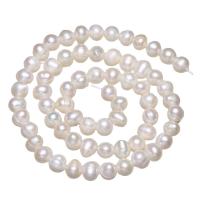 Perlas Patata Freshwater, Perlas cultivadas de agua dulce, natural, Blanco, 5.5-6mm, agujero:aproximado 0.8mm, Vendido para aproximado 15.7 Inch Sarta