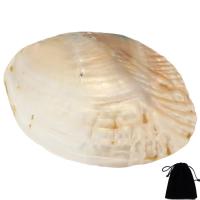 White Shell Decoration with Velveteen Sold By PC