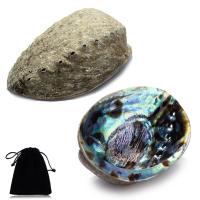 Abalone Shell Decoration with Velveteen multihole Approx 1/PC Sold By PC