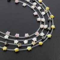 Shell Beads, Star, different materials for choice, 8x8x4mm, Hole:Approx 0.5mm, 20PCs/Strand, Sold Per Approx 12.9 Inch Strand
