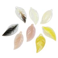 Shell Bead, Leaf, ábhair éagsúla do rogha, 8x35x2mm, Poll:Thart 1.5mm, 30ríomhairí pearsanta/Mála, Díolta De réir Mála