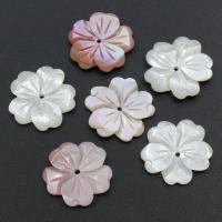 Muschel Perle, Blume, verschiedenen Materialien für die Wahl, 20x20x2.5mm, Bohrung:ca. 1mm, 30PCs/Tasche, verkauft von Tasche