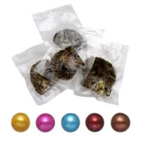 Akoya cultiva mar perla perlas de ostras, Esférico, color mixto, 7-8mm, 5PCs/Grupo, Vendido por Grupo