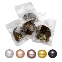 Akoya Cultured Sea Pearl Oyster Beads Akoya Cultured Pearls One pearl oyster with one pearl mixed colors Round 7-8mm Sold By Lot