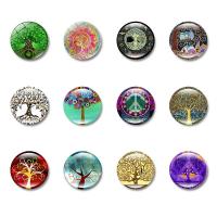 Magnety na lednici, Sklo, s Magnetický hematit, Flat Round, Doba gem šperky & různé designy pro výběr & štítek, 25x8mm, 10PC/Bag, Prodáno By Bag