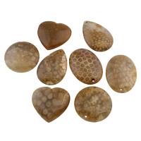 Krysanteemi Stone Riipus, eri tyylejä valinta, Reikä:N. 1.5mm, 5PC/laukku, Myymät laukku