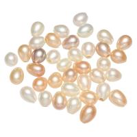 Natural Freshwater Pearl Loose Beads, Teardrop, different styles for choice & half-drilled, mixed colors, 6.5-7mm, Hole:Approx 2mm, Sold By Bag