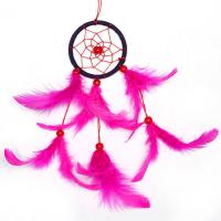 Fashion Dream Catcher, Plastic, with Feather & Nylon Cord & Wood, Tassel, 300mm, Sold By PC