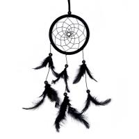 Fashion Dream Catcher, Plastic, with Feather & Nylon Cord & Wood, Tassel, 450-500mm, Sold By PC