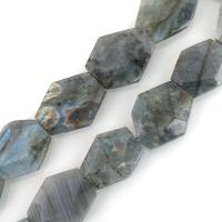 Natural Labradorite Beads, faceted, 25-38x21-31x8-9mm, Hole:Approx 2mm, Approx 12PCs/Strand, Sold Per Approx 15.5 Inch Strand