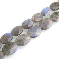 Natural Labradorite Beads Flat Oval & faceted Approx 0.6mm Sold By Strand