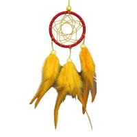 Fashion Dream Catcher Plastic with Feather & Nylon Cord & Acrylic Tassel Sold By PC