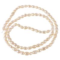 Cultured Rice Freshwater Pearl Beads, natural, pink, 2-3mm, Hole:Approx 0.8mm, Sold Per Approx 15.3 Inch Strand
