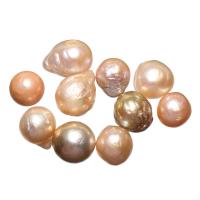 Cultured Freshwater Nucleated Pearl Beads, natural, no hole, pink, 10-13mm, Sold By PC