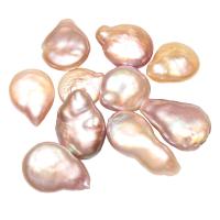 Cultured Freshwater Nucleated Pearl Beads natural no hole purple 11-13mm Sold By PC