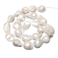 Perles de nacre de culture d'eau douce nucléées, perle nucléée de culture d'eau douce, naturel, blanc, 15-17mm, Trou:Environ 0.8mm, Vendu par Environ 15 pouce brin
