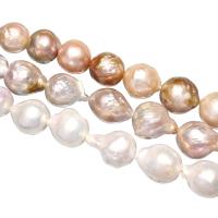 Naturales agua dulce perlas sueltas, Perlas cultivadas de agua dulce, más colores para la opción, 13-17mm, agujero:aproximado 0.8mm, Vendido para aproximado 15 Inch Sarta
