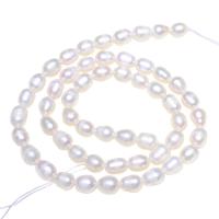 Cultured Rice Freshwater Pearl Beads, natural, different size for choice, white, Hole:Approx 0.8mm, Sold Per Approx 15 Inch Strand