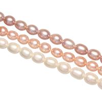 Cultured Rice Freshwater Pearl Beads natural Approx 0.8mm Sold Per Approx 15 Inch Strand