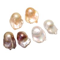 Cultured No Hole Freshwater Pearl Beads natural 20mm Sold By Pair
