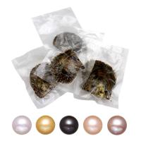 Akoya Odlade Pärlor Havsmussla, Potatis, blandade färger, 9-10mm, 5PC/Bag, Säljs av Bag