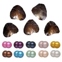 Freshwater Cultured Love Wish Pearl Oyster, Freshwater Pearl, Twins Wish Pearl Oyster & mixed, Random Color, 7-8mm, 10PCs/Lot, Sold By Lot