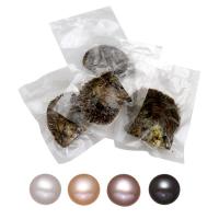 Perles d'huîtres perles de mer Akoya cultivées, perles Akoya cultivées, pomme de terre, Couleur aléatoire, 7-8mm, 15PC/lot, Vendu par lot
