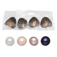 Freshwater Cultured Love Wish Pearl Oyster, Freshwater Pearl, Potato, Random Color, 7-8mm, 15PCs/Lot, Sold By Lot