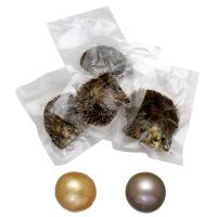 perles Akoya cultivées Moule de mer, pomme de terre, plus de couleurs à choisir, 10-11mm, Vendu par PC
