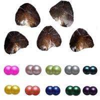 Freshwater Cultured Love Wish Pearl Oyster, Freshwater Pearl, Potato, Twins Wish Pearl Oyster, mixed colors, 7-8mm, 10PCs/Lot, Sold By Lot