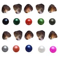 Freshwater Cultured Love Wish Pearl Oyster, Freshwater Pearl, Potato, mixed colors, 7-8mm, 10PCs/Lot, Sold By Lot