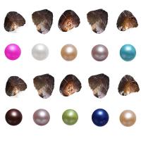 Oyster & Wish Pearl Kit Freshwater Pearl Potato mixed colors 6-7mm Sold By Bag