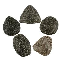 Fossile marino pendente, misto, 36x44x7mm-48x54x7mm, Foro:Appross. 1.5mm, 5PC/borsa, Venduto da borsa