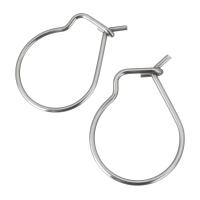 Stainless Steel Hook Earwire, original color, 13x18x2.50mm, 1000PCs/Lot, Sold By Lot