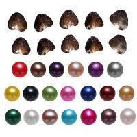 Freshwater Cultured Love Wish Pearl Oyster, Freshwater Pearl, Potato, mixed colors, 7-8mm, 20PCs/Lot, Sold By Lot