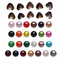 Freshwater Cultured Love Wish Pearl Oyster, Freshwater Pearl, Potato, mixed colors, 7-8mm, 25PCs/Lot, Sold By Lot
