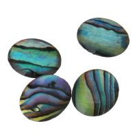 Abalone Shell Cabochon, Flad Oval, epoxy sticker, 10x12x2mm, 10pc'er/Lot, Solgt af Lot