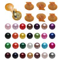 Perles d'huîtres perles de mer Akoya cultivées, perles Akoya cultivées, pomme de terre, plus de couleurs à choisir, 7-8mm, Vendu par PC