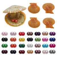 Akoya Cultured Sea Pearl Oyster Beads , Akoya Cultured Pearls, Potato, Twins Wish Pearl Oyster, more colors for choice, 7-8mm, Sold By PC