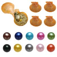 Perles d'huîtres perles de mer Akoya cultivées, perles Akoya cultivées, pomme de terre, couleurs mélangées, 7-8mm, 10PC/sac, Vendu par sac
