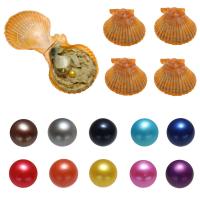 Perles d'huîtres perles de mer Akoya cultivées, perles Akoya cultivées, pomme de terre, couleurs mélangées, 7-8mm, 10PC/sac, Vendu par sac