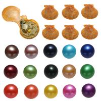 "Akoya Cultured Sea Pearl Oyster Beads", Akoya dirbtiniu būdu išauginti perlai, Bulvė, mišrios spalvos, 7-8mm, 15kompiuteriai/Krepšys, Pardavė Krepšys